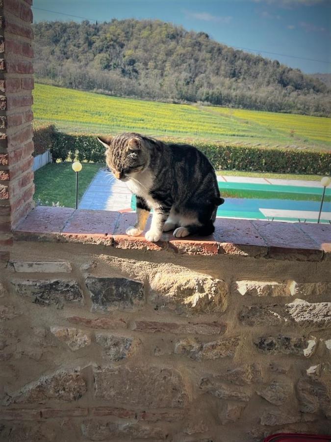 Podere La Selva Rapolano Terme Exterior foto