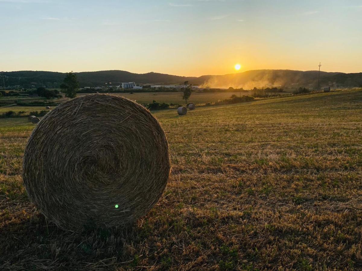 Podere La Selva Rapolano Terme Exterior foto