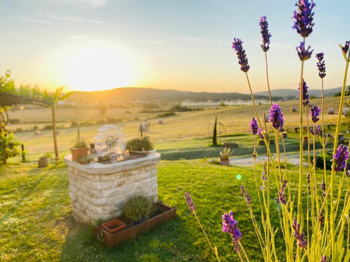 Podere La Selva Rapolano Terme Exterior foto