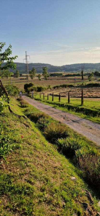 Podere La Selva Rapolano Terme Exterior foto
