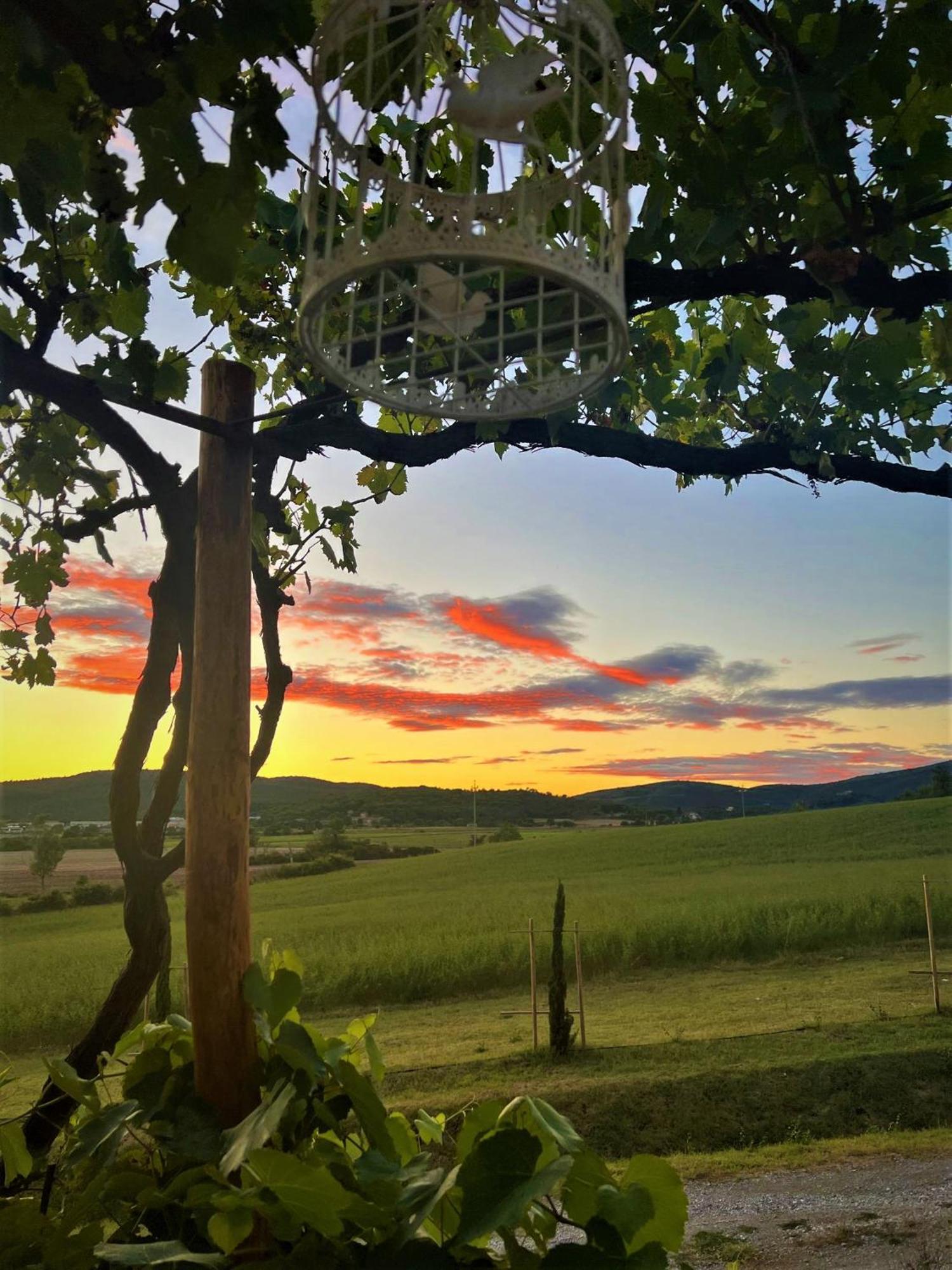 Podere La Selva Rapolano Terme Exterior foto